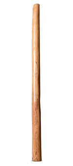 Earl Clements Didgeridoo (EC513)